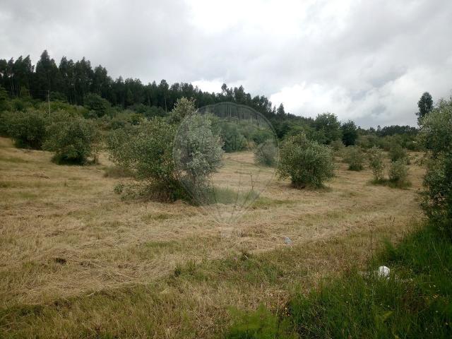 Terreno à venda em Alvaiázere