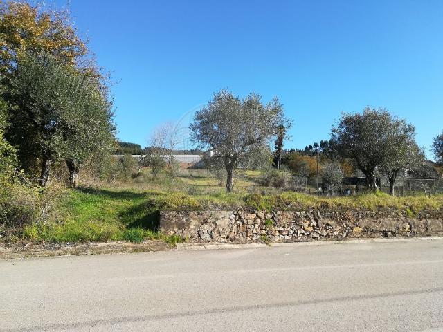 Terreno à venda em Alvaiázere
