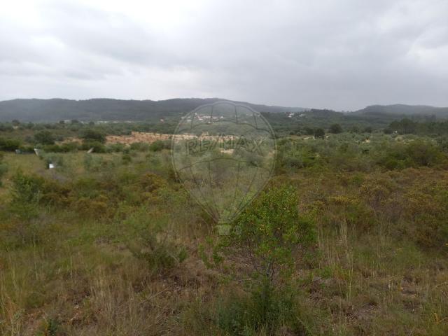 Terreno à venda em Alvaiázere