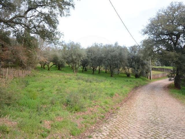 Terreno à venda em Alvaiázere