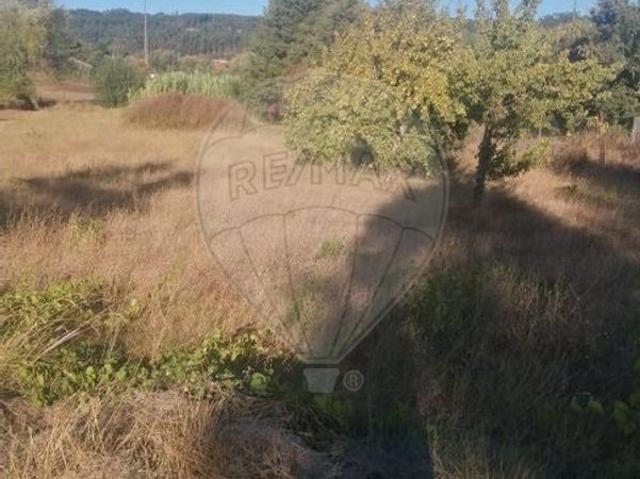 Terreno à venda em Alvaiázere