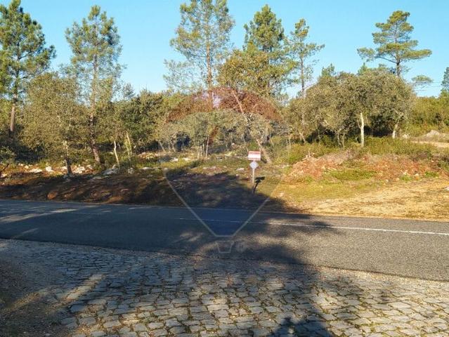 Terreno à venda em Alvaiázere