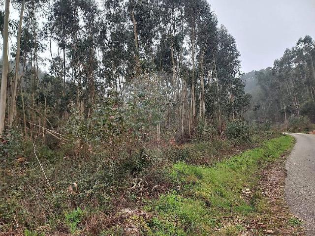 Terreno à venda em Alvaiázere, Alvaiázere RE/MAX Portugal