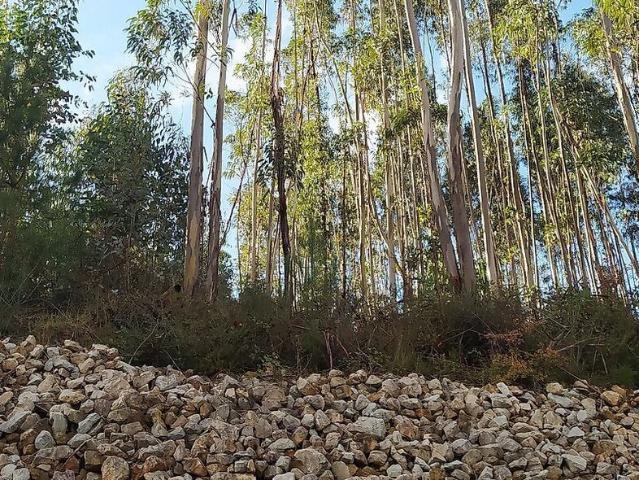 Terreno à venda em Alvaiázere, Alvaiázere RE/MAX Portugal