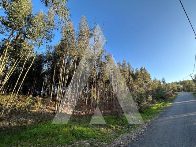 Terreno à venda em Alvaiázere, Leiria
