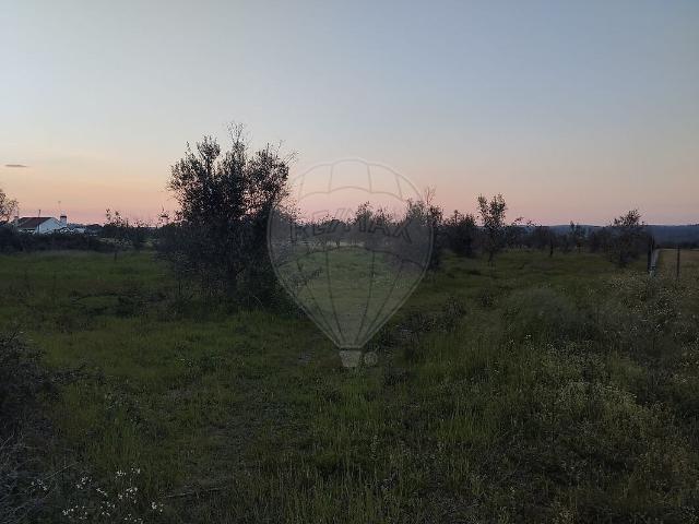 Terreno à venda em Alvega e Concavada, Abrantes RE/MAX Portugal