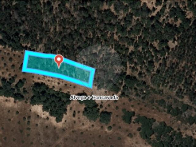 Terreno à venda em Alvega e Concavada, Abrantes RE/MAX Portugal