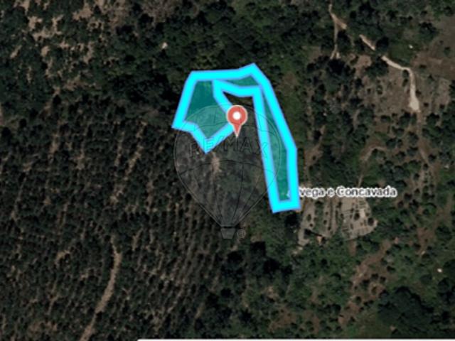Terreno à venda em Alvega e Concavada, Abrantes RE/MAX Portugal