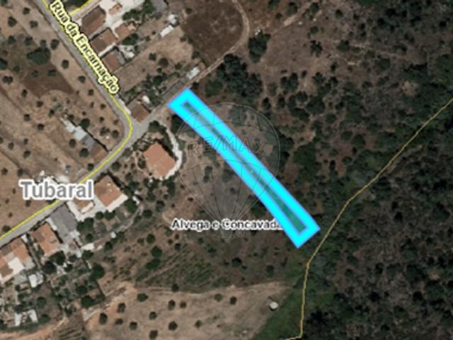 Terreno à venda em Alvega e Concavada, Abrantes RE/MAX Portugal