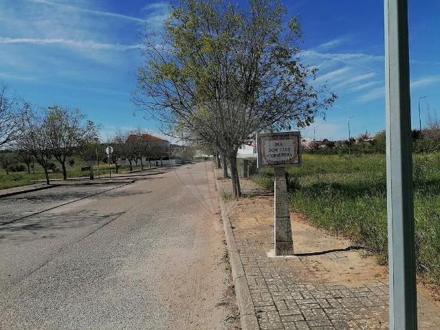 Terreno à venda em Alvito, Alvito RE/MAX Portugal