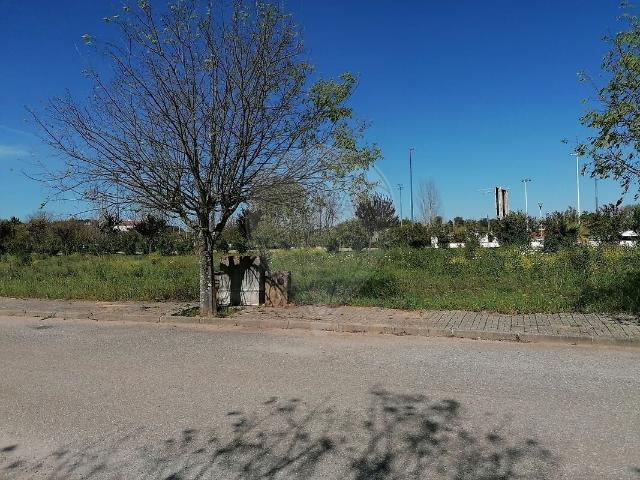Terreno à venda em Alvito, Alvito RE/MAX Portugal