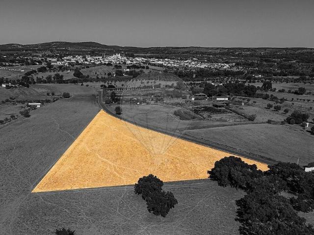 Terreno à venda em Vila Nova da Baronia, Alvito RE/MAX Portugal