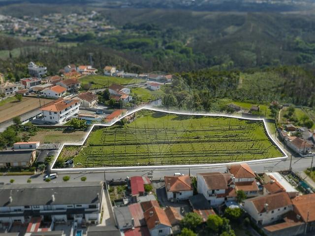 Terreno à venda em Albergaria a Velha e Valmaior, Albergaria a Velha RE/MAX Portugal