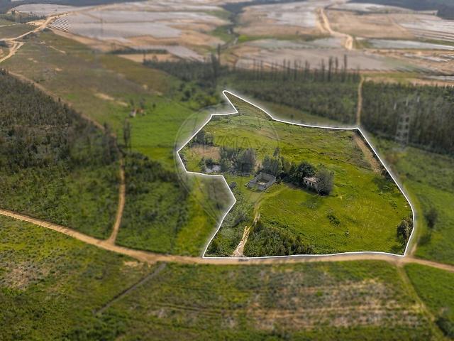 Terreno à venda em Albergaria a Velha e Valmaior, Albergaria a Velha RE/MAX Portugal