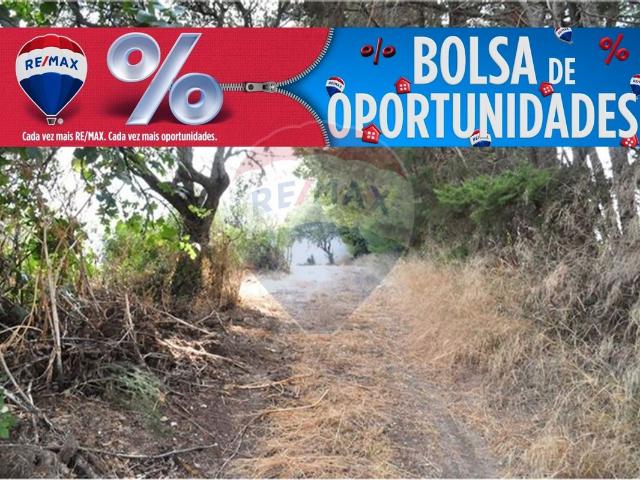 Terreno à venda em Alcanena