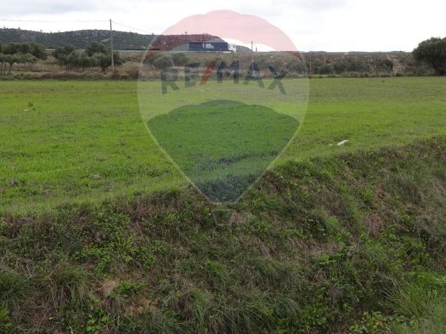 Terreno à venda em Alcanena