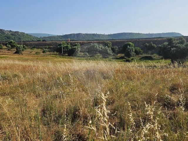 Terreno à venda em Alcanena