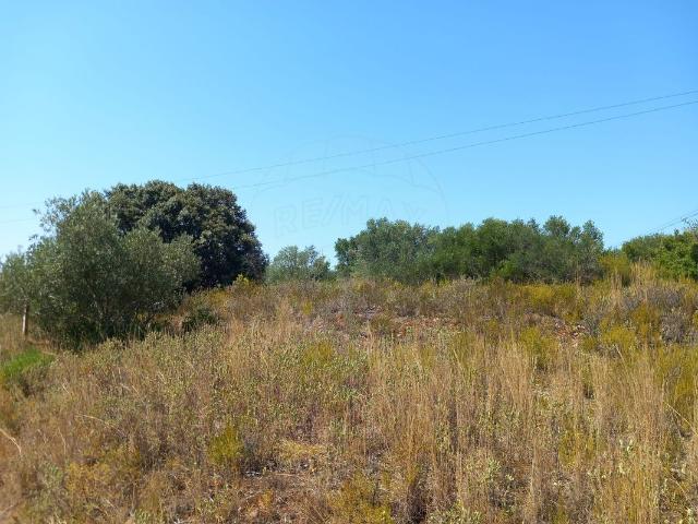 Terreno à venda em Alcanena
