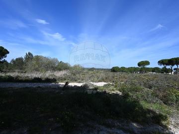 Terreno à venda em Alcácer do Sal