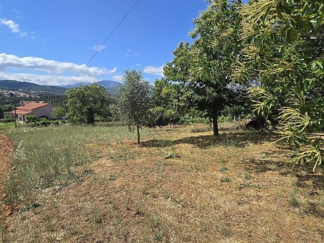 Terreno à venda em Alcaria, Fundão RE/MAX Portugal