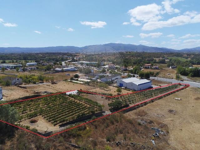 Terreno à venda em Alcaria, Fundão RE/MAX Portugal