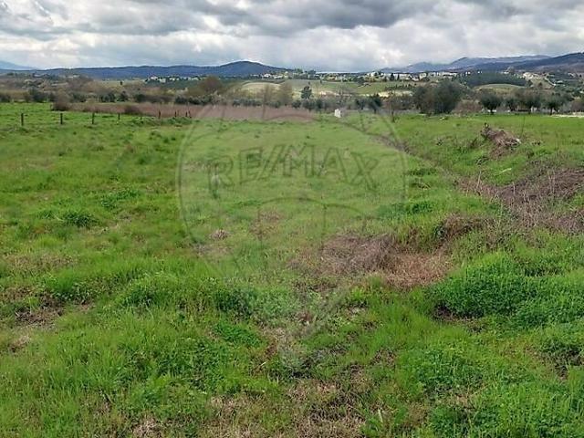 Terreno à venda em Alcaria, Fundão RE/MAX Portugal