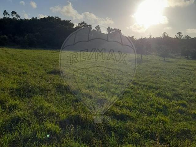 Terreno à venda em Alcobaça