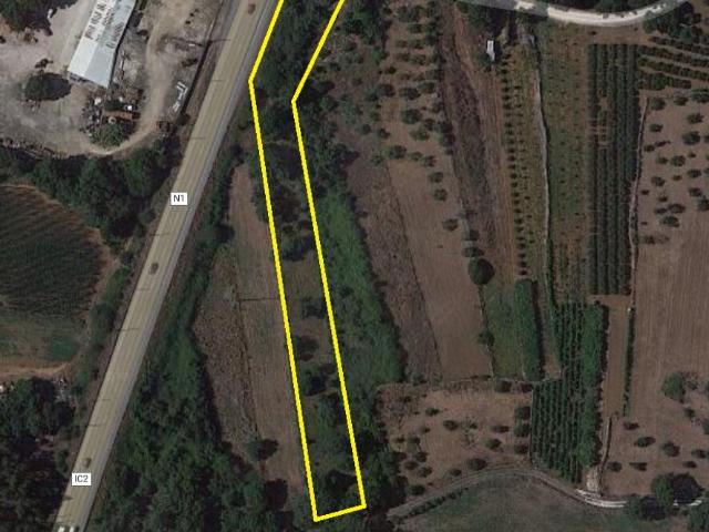 Terreno à venda em Alcobaça