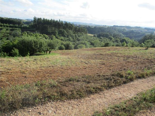Terreno à venda em Évora de Alcobaça, Alcobaça RE/MAX Portugal
