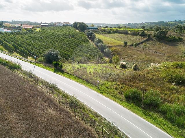 Terreno à venda em Alcobaça e Vestiaria, Alcobaça RE/MAX Portugal