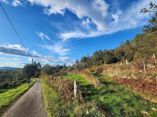 Terreno à venda em Alcofra, Vouzela RE/MAX Portugal
