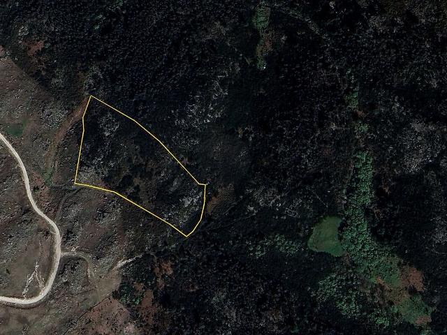 Terreno à venda em Alcofra, Vouzela RE/MAX Portugal