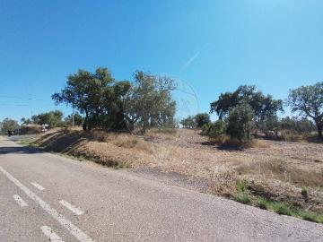 Terreno à venda em Alcôrrego