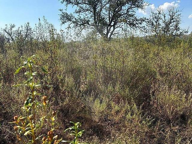 Terreno à venda em Alcoutim