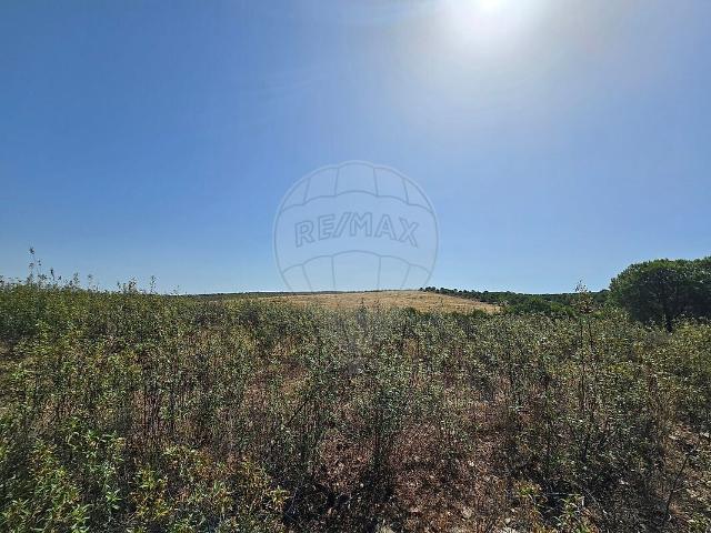 Terreno à venda em Alcoutim e Pereiro, Alcoutim RE/MAX Portugal