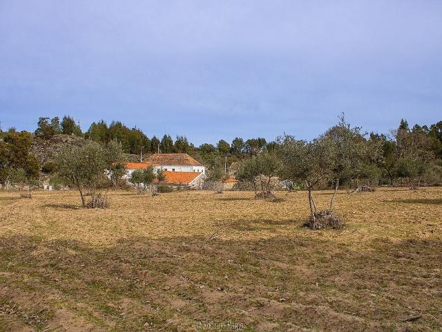 Terreno à venda em Aldeia do Bispo, Águas e Aldeia de João Pires, Penamacor RE/MAX Portugal
