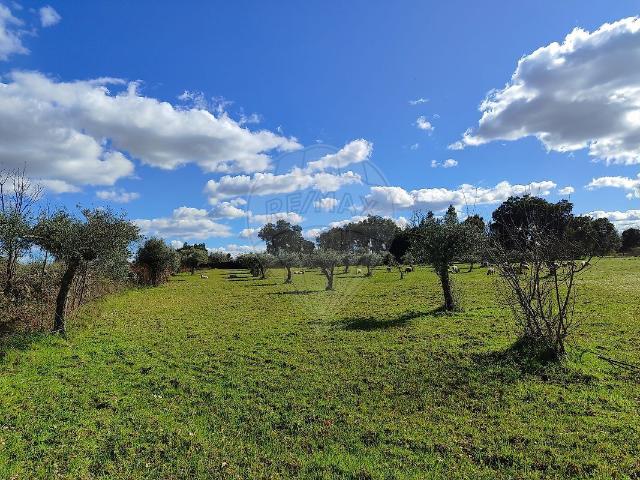Terreno à venda em Aldeia do Bispo, Águas e Aldeia de João Pires, Penamacor RE/MAX Portugal