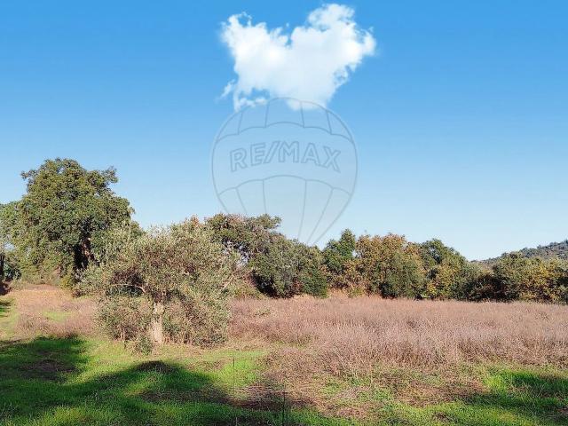 Terreno à venda em Aldeia do Bispo, Águas e Aldeia de João Pires, Penamacor RE/MAX Portugal