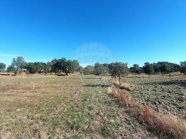 Terreno à venda em Aldeia do Bispo, Águas e Aldeia de João Pires, Penamacor RE/MAX Portugal