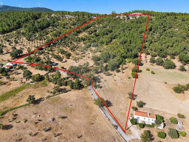 Terreno à venda em Alegrete, Portalegre RE/MAX Portugal