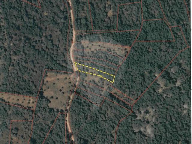 Terreno à venda em Além da Ribeira e Pedreira, Tomar RE/MAX Portugal