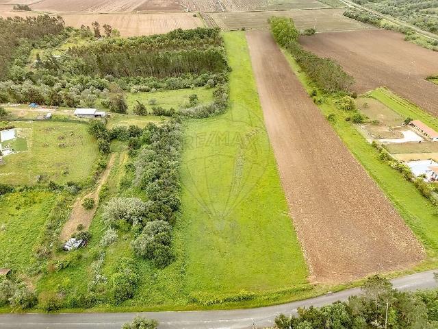 Terreno à venda em Alfarelos, Soure RE/MAX Portugal
