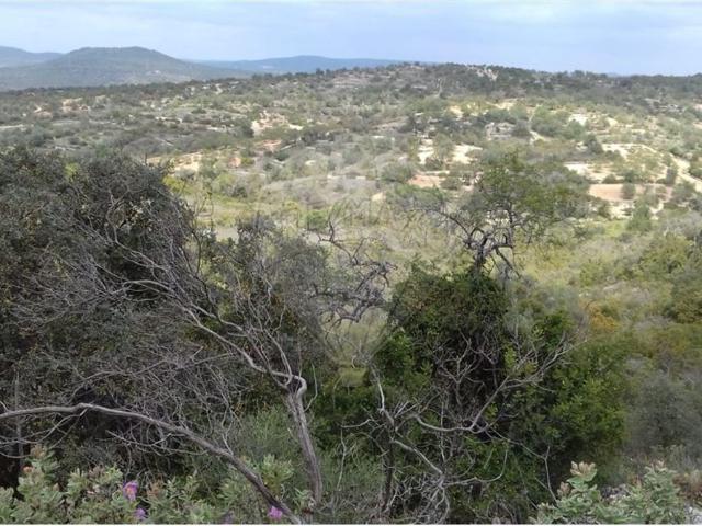 Terreno à venda em Alfontes