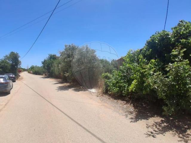 Terreno à venda em Algoz e Tunes, Silves RE/MAX Portugal