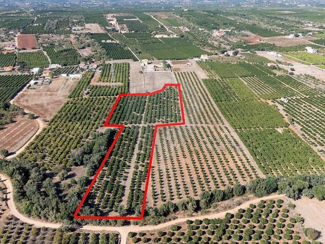 Terreno à venda em Algoz e Tunes, Silves RE/MAX Portugal