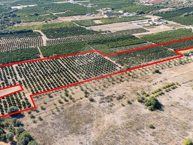 Terreno à venda em Algoz e Tunes, Silves RE/MAX Portugal