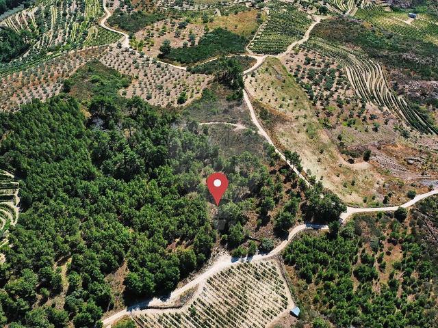 Terreno à venda em Alijó