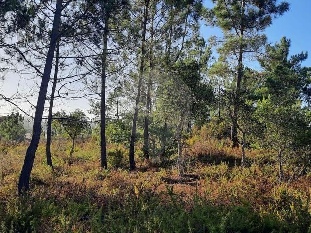 Terreno à venda em Aljezur