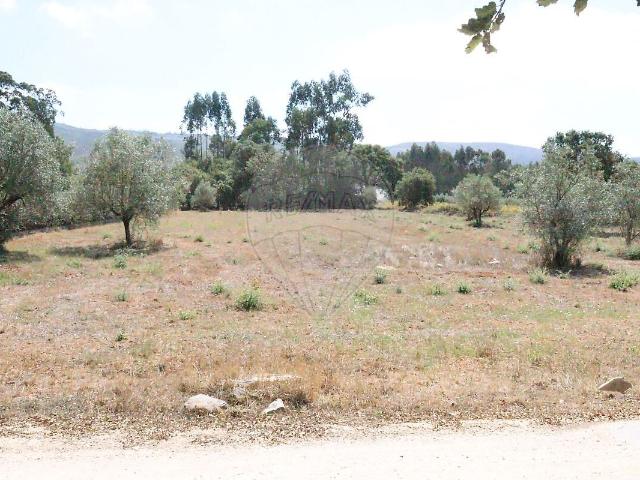 Terreno à venda em Aljubarrota, Alcobaça RE/MAX Portugal