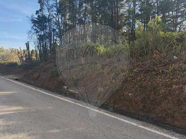 Terreno à venda em Aljubarrota, Alcobaça RE/MAX Portugal